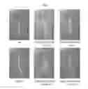 Fig. 01 - Transgenic plants comprising a mutant phytochrome and showing altered photomorphogenesis