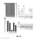 Fig. 24 - Transgenic plants comprising a mutant phytochrome and showing altered photomorphogenesis