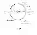Fig. 03 - Polypeptides having beta-glucosidase activity and polynucleotides encoding same