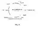 Fig. 05 - Polypeptides having beta-glucosidase activity and polynucleotides encoding same