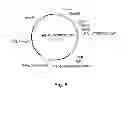 Fig. 07 - Polypeptides having beta-glucosidase activity and polynucleotides encoding same