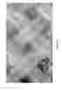 Fig. 08 - Integrated protective garment ensemble