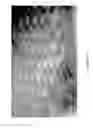 Fig. 09 - Integrated protective garment ensemble