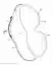 Fig. 02 - EYE MASK FOR SLEEPING