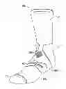 Fig. 01 - HIGH PERFORMANCE SPORT SOCKS INCLUDING MULTIPLE FABRICS, AND METHODS OF MAKING AND USING SAME
