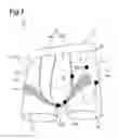 Fig. 02 - LOWER BODY GARMENT FOR MEN