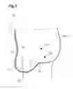 Fig. 06 - LOWER BODY GARMENT FOR MEN
