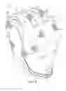 Fig. 06 - WRESTLING HEADGEAR