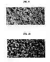 Fig. 08 - Substrate cleaning apparatus