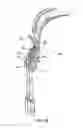 Fig. 06 - Self-retracting lifeline connecting system