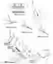 Fig. 02 - Attachment guide comb conduit