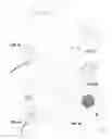 Fig. 08 - Attachment guide comb conduit