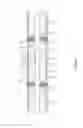 Fig. 06 - DIVIDING WALL PANEL AND METHOD OF MANUFACTURING SAME