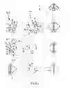 Fig. 07 - Multi-Directional Structural Joint