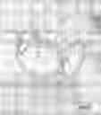 Fig. 02 - Headgear for use in directing an animal