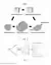 Fig. 02 - Torsional extreme-plastic processing method of conic metal pipe