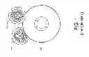 Fig. 02 - Blade sharpening system for a log saw machine