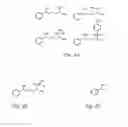 Fig. 04 - Molecularly imprinted polymers selective for nitrosamines and methods of using the same