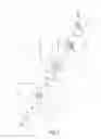 Fig. 07 - Articulated joint and a device for supporting a person