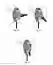 Fig. 08 - Articulated joint and a device for supporting a person