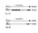 Fig. 06 - Microfluidic device