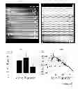 Fig. 09 - Method and system for pre-programmed self-power microfluidic circuits