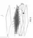 Fig. 04 - Method for producing an inflatable product