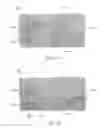 Fig. 07 - Hydraulic fracturing composition, method for making and use of same