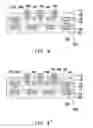 Fig. 09 - Carrier substrate and manufacturing method thereof