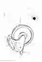 Fig. 02 - WHEEL ASSEMBLY FOR A GOLF TROLLEY