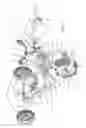 Fig. 02 - Electric trolley