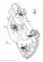 Fig. 02 - Orifice disc for regulating flow in damper