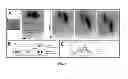 Fig. 06 - Two-dimensional microfluidic devices and methods of using the same