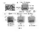 Fig. 07 - Two-dimensional microfluidic devices and methods of using the same