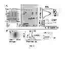 Fig. 09 - Two-dimensional microfluidic devices and methods of using the same