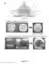 Fig. 08 - Method of building massively-parallel ion concentration polarization separation device