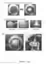 Fig. 09 - Method of building massively-parallel ion concentration polarization separation device