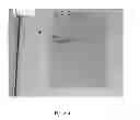 Fig. 05 - Kit for co-purification and concentration of DNA and proteins using isotachophoresis