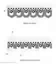 Fig. 04 - ANODIZED ALUMINUM OXIDE TEMPLATE ENABLED NANOSTRUCTURE FORMATION AND METHOD THEREOF