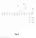 Fig. 08 - Media etch process