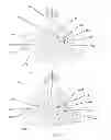 Fig. 06 - Shower with various outlet functions