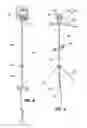 Fig. 04 - Decoy and Camera Stake