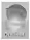 Fig. 01 - Plastic scintillators