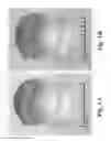 Fig. 02 - Plastic scintillators