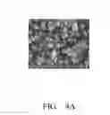 Fig. 06 - Light-extraction element including raspberry-like particles