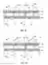 Fig. 06 - Semiconductor package and manufacturing method thereof