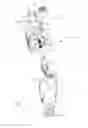 Fig. 02 - Scent diffuser