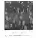 Fig. 02 - Melt processable composition from recycled multi-layer articles containing a fluoropolymer layer
