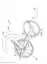 Fig. 19 - Folding bicycle and method of use