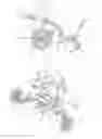Fig. 03 - Ergonomic Wheelchair With Ventral Support